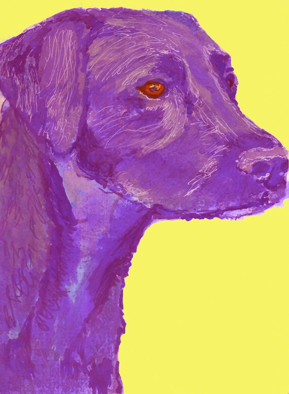 Labrador Dog print Purple with Yellow Background Lab art