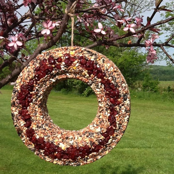 bird seed wreath bird feeder hanging feeder garden decor bird seed wreath bird feeder hanging feeder garden decor