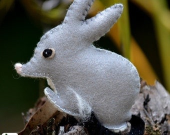 PDF Australian Bilby Felt Animal Pattern: template and instructions - Stuffed Toy, Animal Softie, DIY Easter Craft. Native Australian animal