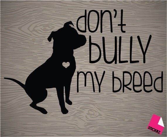 American bully xl price picture