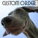 Custom Order for annapaulk