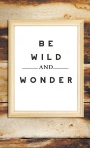 Be Wild & Wonder Illustrated Typography Quote Giclee Print Fine Art Home Decor Home and Wall Art Black and White Decor
