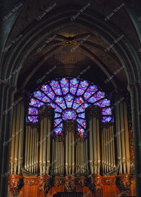 26+ Rose Window Notre Dame Cathedral Interior Images