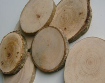 50 Assorted Blank Tree Branch Slices 2 to 3 inch Drilled