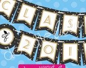 INSTANT DOWNLOAD DIY Class of 2014 Gold & Silver Confetti Glitter Graduation Party Banner Decoration Printable - DoodleLulu by 2 june bugs Il_170x135