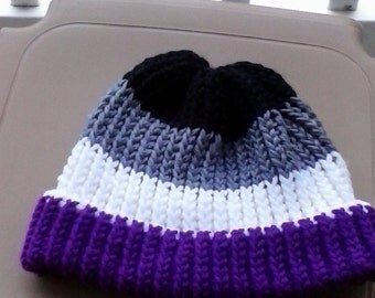 Asexual Pride Knit Hat