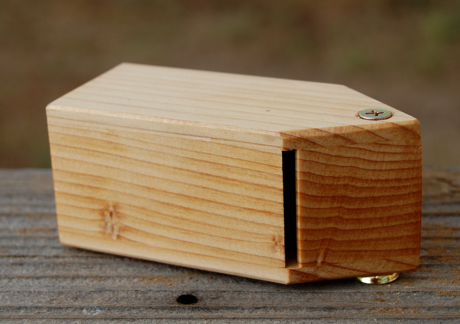 Wind Whistle Aeolian Flute