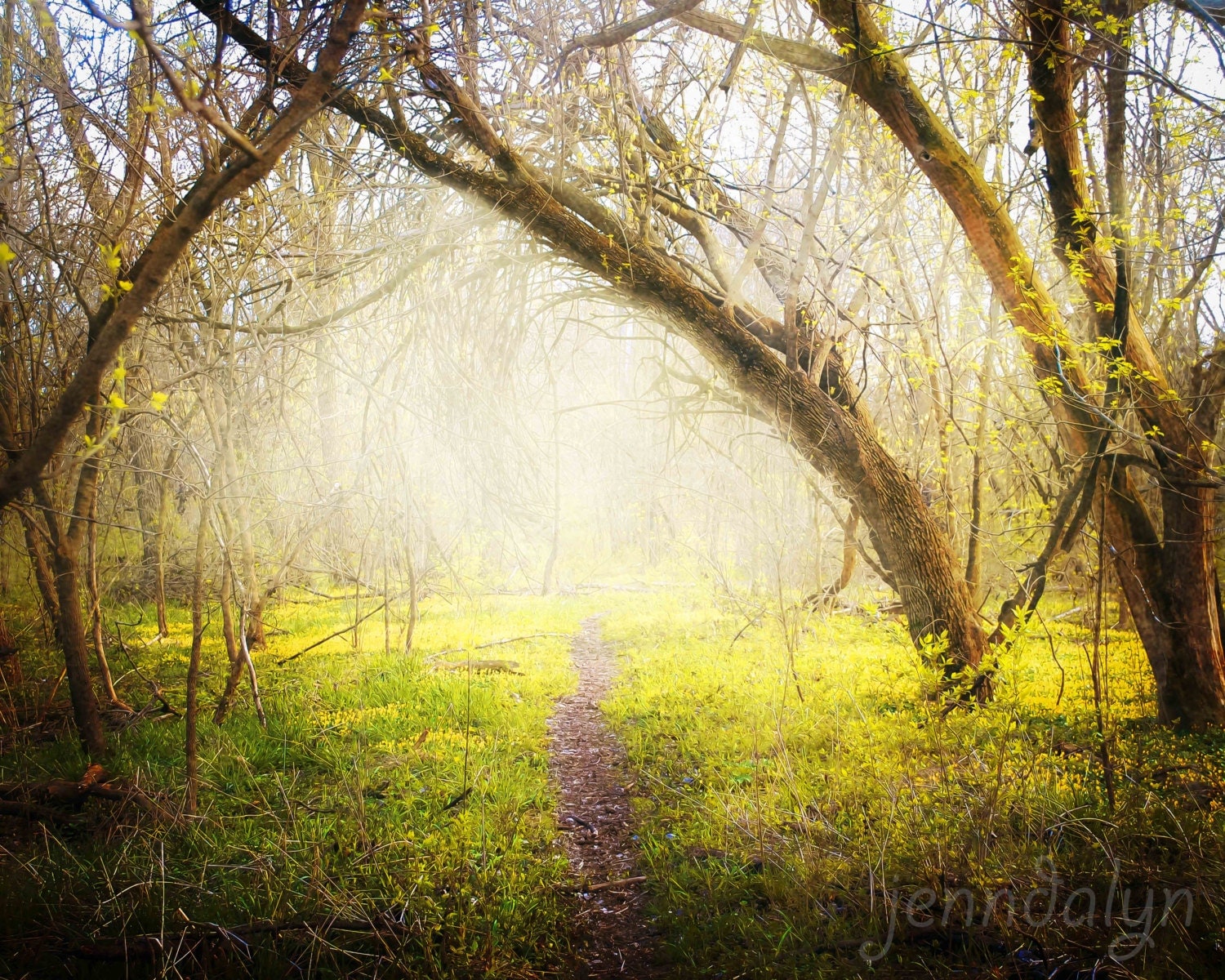 This Way PHOTO enchanted forest fairy tale rustic foggy