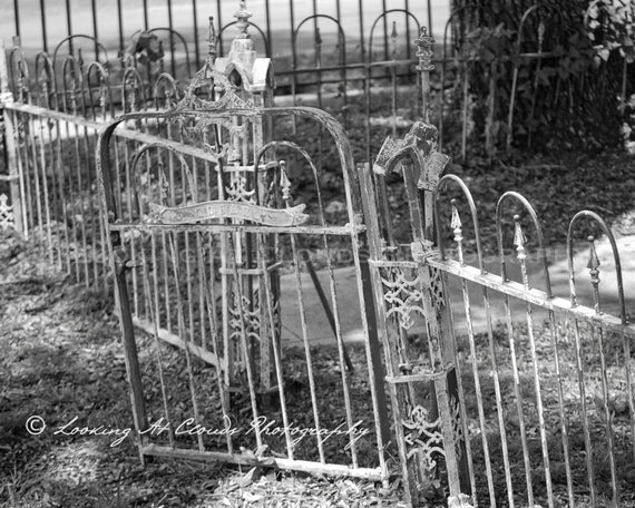 Photo art porte et clôture jardin en fer forgé par lookingatclouds Noir clôture décor