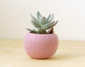 Felt succulent planter / felted bowl / Mini flower vase vase / sakura pink for spring / Easter decor