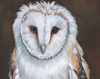 Barn Owl Painting - print of owl painting 5 by 7 print - BO4215, bird art, wall art, home decor