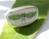 Broken China Green Dragonfly  Ring Chaney Sterling Silver Any Size Old China