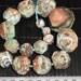 Natural New Ocean Jasper 30-12mm Graduated Faceted Round Beads, 16 Inch Strand(G01030)