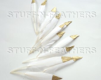 GOLD dipped natural white feathers, metallic gold hand painted duck feathers, loose white gold / 3-4.5in (7.5-11.5cm) long, 12 pcs / F120-3G