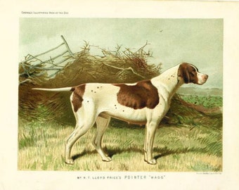 POINTER DOG ANTIQUE Chromolithograph Dog Print 1881 by Vero Shaw Cassells and Company Unique Christmas Thanksgiving dog lover gift