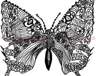 Black and White Art Pen and Ink Butterfly Insect Signed 5 x 7 Print ...