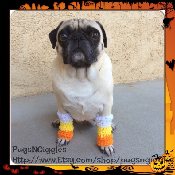 Legwarmerscandy corndog leg warmerspugsdog