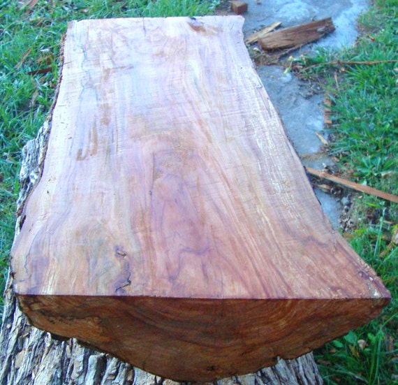 LIVE Edge Apple Wood Slab Turning Stock Furniture by 