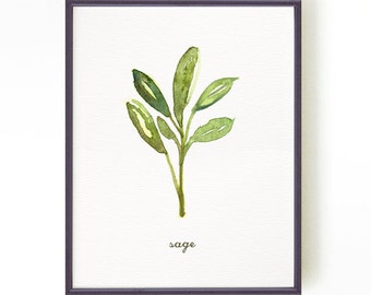 Herb print, Kitchen print, Culinary art, Botanical art, SAGE, Green kitchen decor, Spring wall art, Living room wall art, Buy 2 Get 1 Free
