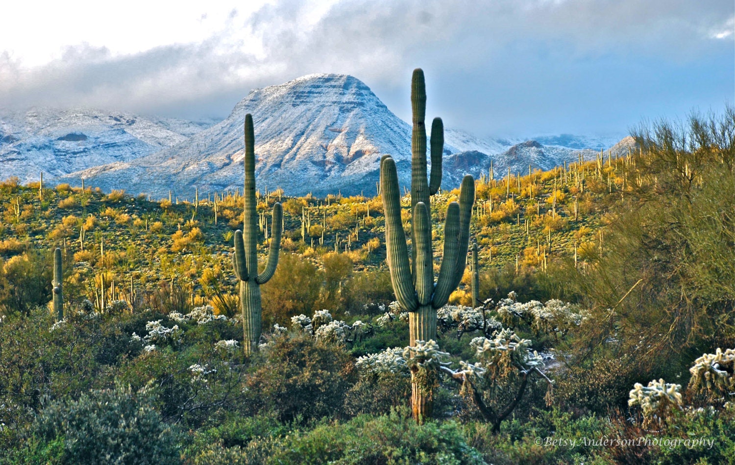 Desert picture of Snow in Cave Creek AZ desert fine art