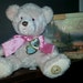 Thomas Kinkade Dakin Plush Heart Necklace 12" &The End of the Perfect Day Book