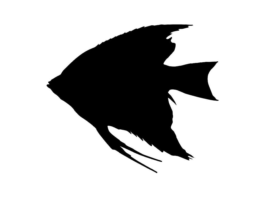 Angel Fish Silhouette Vinyl Decal Sticker Choose your Color