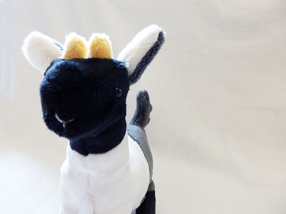 goat plushie