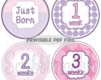 PRINTABLE Baby Month Sticker girls by SCPrintables on Etsy
