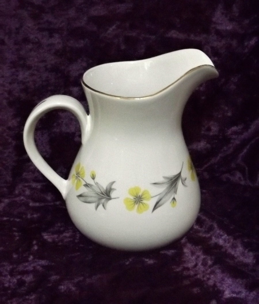 Langdale China Pitcher, 22 k Gold Made in England – Haute Juice