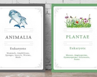 Biology Posters - The 6 Kingdoms, Printable Science Posters
