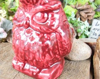 Ceramic Owl Modern Vase - Ceramic glazed Horned Hoot owl Home and garden statue