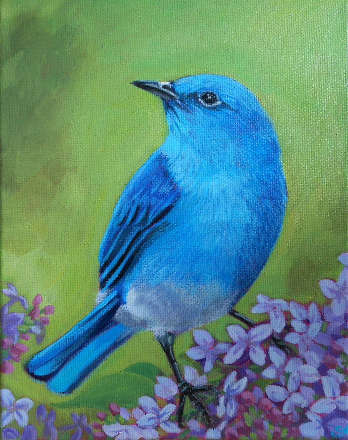 Bluebird original acrylic painting on 8x10 canvas