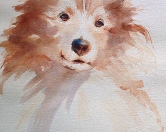 Sheltie shetland sheepdog print dog art dogs watercolor 8 x 10