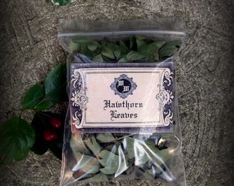 Dried English Hawthorn Leaves: Witchcraft, Magic, Wicca, Pagan