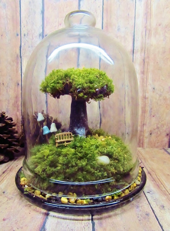 Tree of Life Live Moss Tree Terrarium Fairy Garden