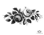 Black and white Victorian Roses Illustration Wickedly Lovely Skin Art Temporary Tattoo,