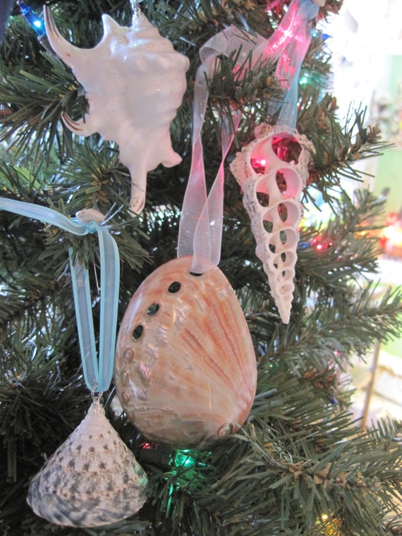 beach decor christmas seashell ornament set 4pc beach decor christmas seashell ornament set 4pc