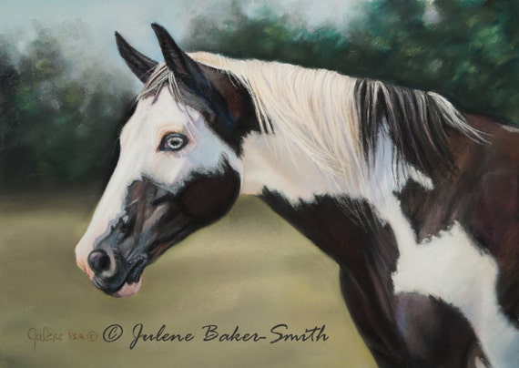 Items Similar To Black And White Horse Art Paint Horse Art Pinto