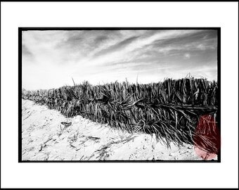 Black And White Photography Wall Art desert photography | etsy Black And White Photography Wall Art desert photography | etsy