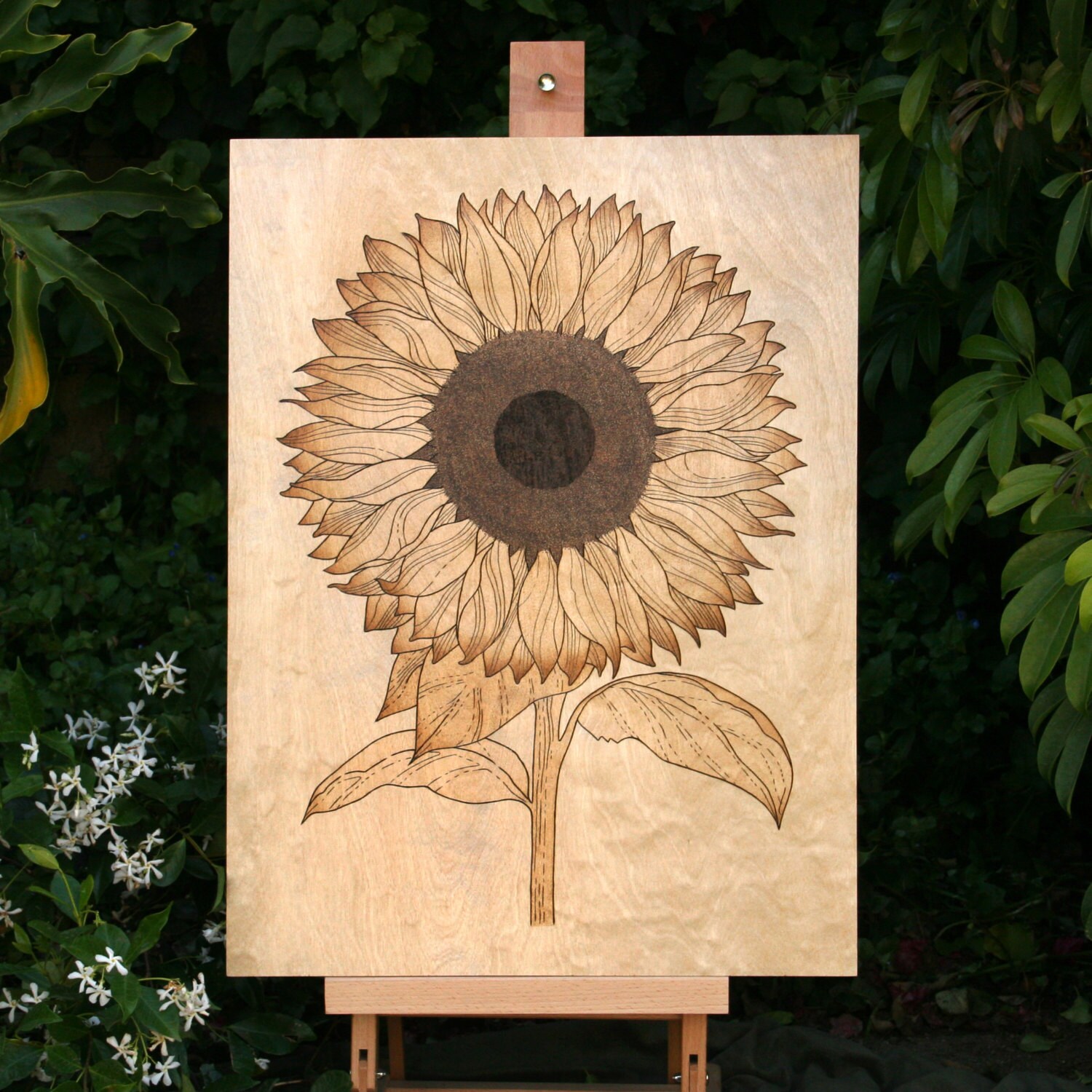 Sunflower Pyrography Art On Framed Birch Wall Hanging