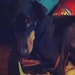 Brandy S
