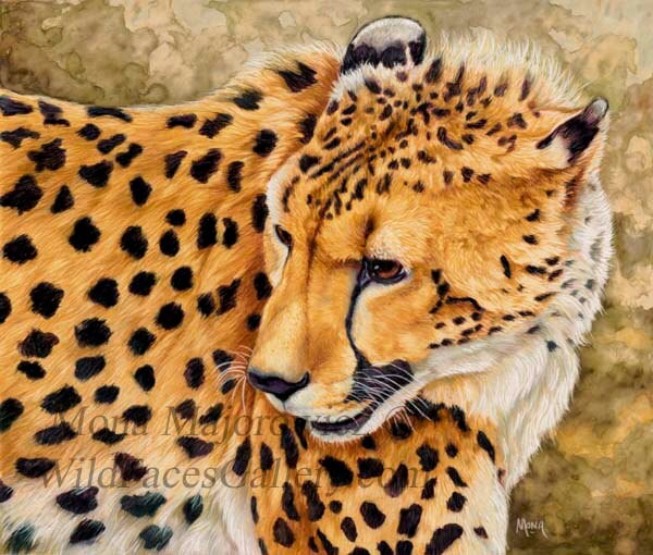 Cheetah Art Fine Art Giclee Print cheetah painting wildlife