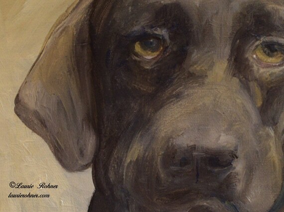 Pet portraits by Laurie Rohner