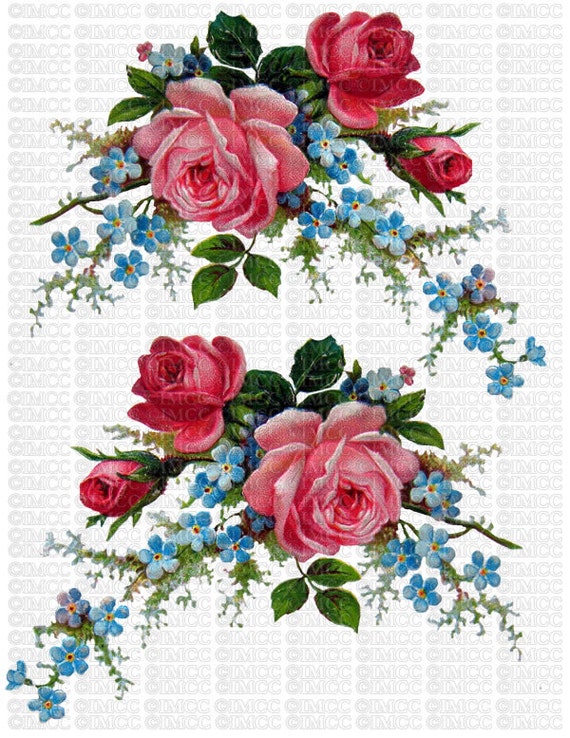 Instant Digital Download Cottage Pink Roses Cabbage Blue Forget Me Nots Flowers Floral Vintage Era Transparent Background PNG Instant Digital Download Cottage Pink Roses Cabbage Blue Forget Me Nots Flowers Floral Vintage Era Transparent Background PNG