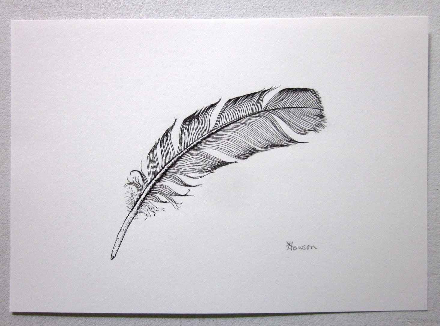 Curved small black feather original ink drawing by AnneLawsonArt