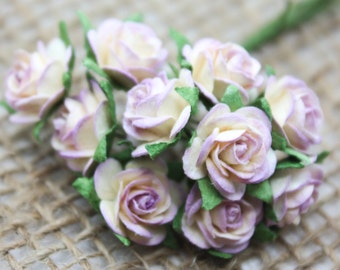 Enchanted  Passion  Series  - Miniature Roses -Sweet Lavender
