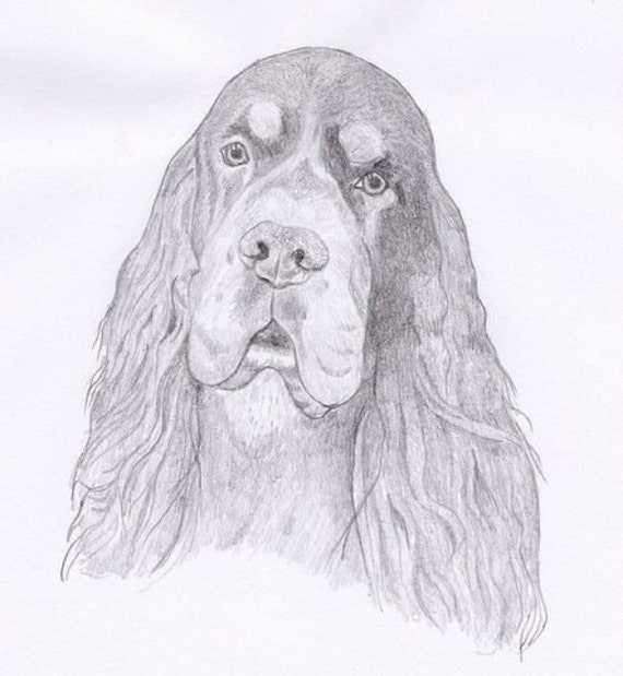 Gordon Setter Signed Personalized Original Pencil Drawing