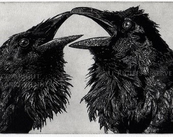 Raven Love Story , Raven, crow, Black and White, Love Story, Etching.