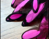 Neon Pink Feathers Bright Colors Laced Black & Pink Feathers Craft Feather Supplies Accessories Feather Crafting Pink Craft Feathers, 12 pcs