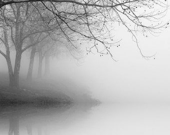 black and white photography,landscape photography, nature photography, trees in fog, tree photography, winter landscape photography